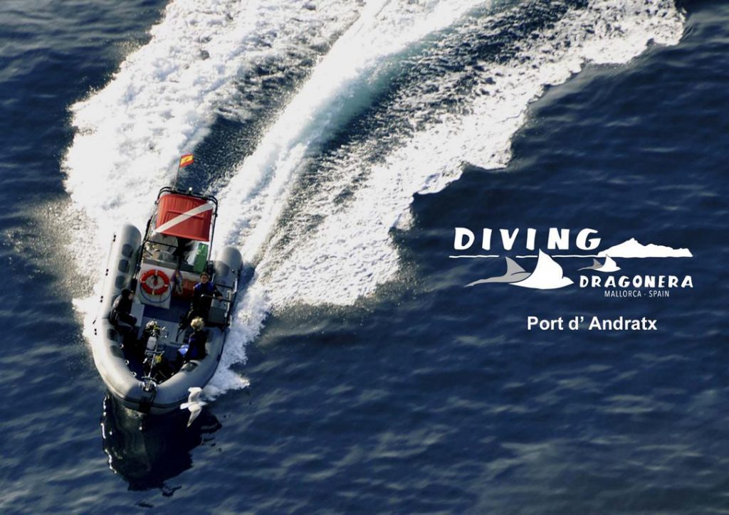 Diving Dragonera Tauchschule deutsch auf Mallorca