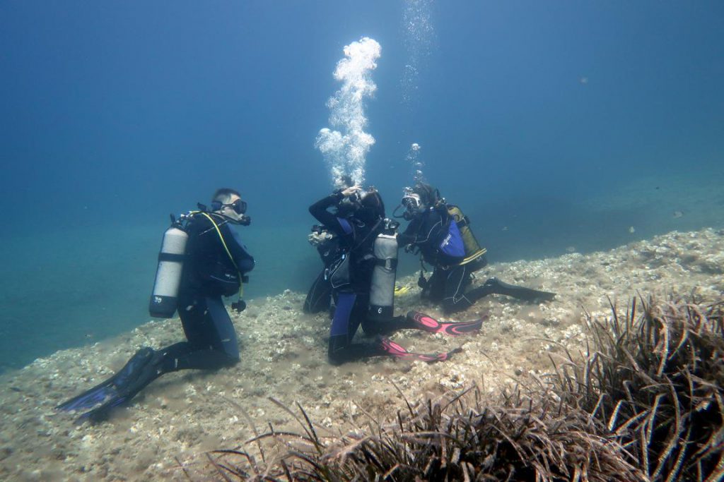 Diving Dragonera tauchen lernen auf Mallorca deutsche Tauchschule