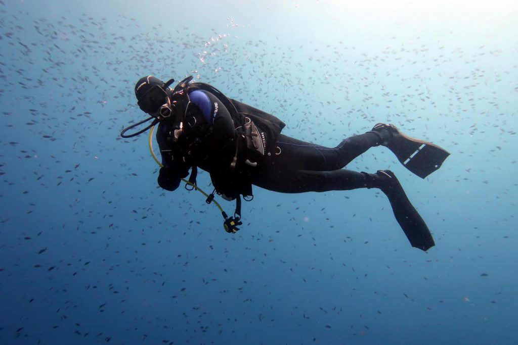 Diving Dragonera tauchen auf Mallorca