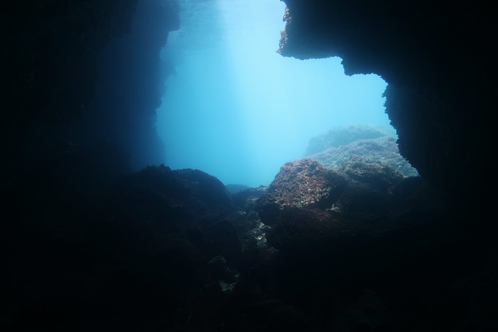 Diving Dragonera Tauchschule auf Mallorca Tauchen auf Mallorca Tauchen Mallorca Ostküste Tauchen Mallorca deutsch